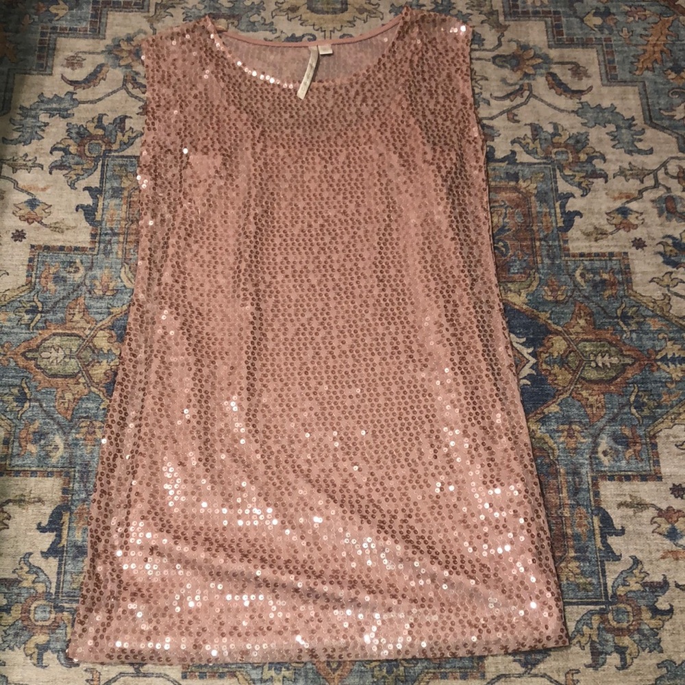 Lauren Conrad Sheer Sequins Dress with Slip
